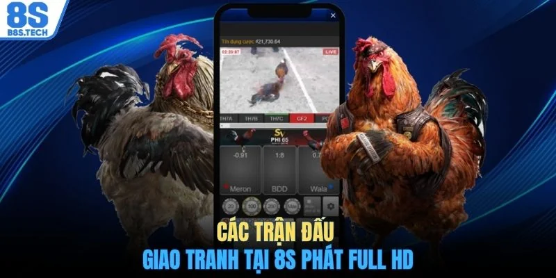 Đá gà 8S 2 Các trận đấu giao tranh tại 8S phát full HD